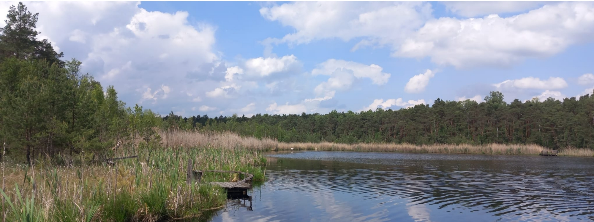 Park Krajobrazowy Lasy Nad Górną Liswartą